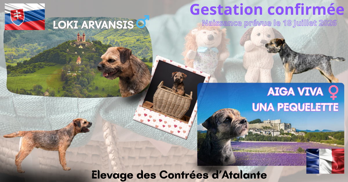 Portée en cours