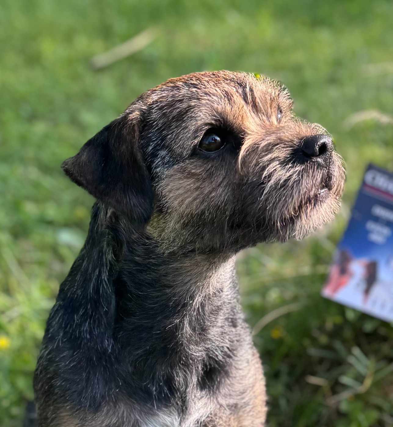 Una pequelette en famille